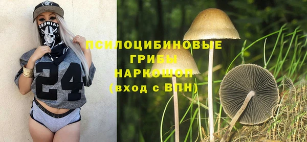 экстази Каменногорск