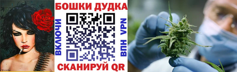 мориарти наркотические препараты  Новошахтинск  Шишки марихуана AK-47 